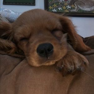 Meet your Posher, Tracy